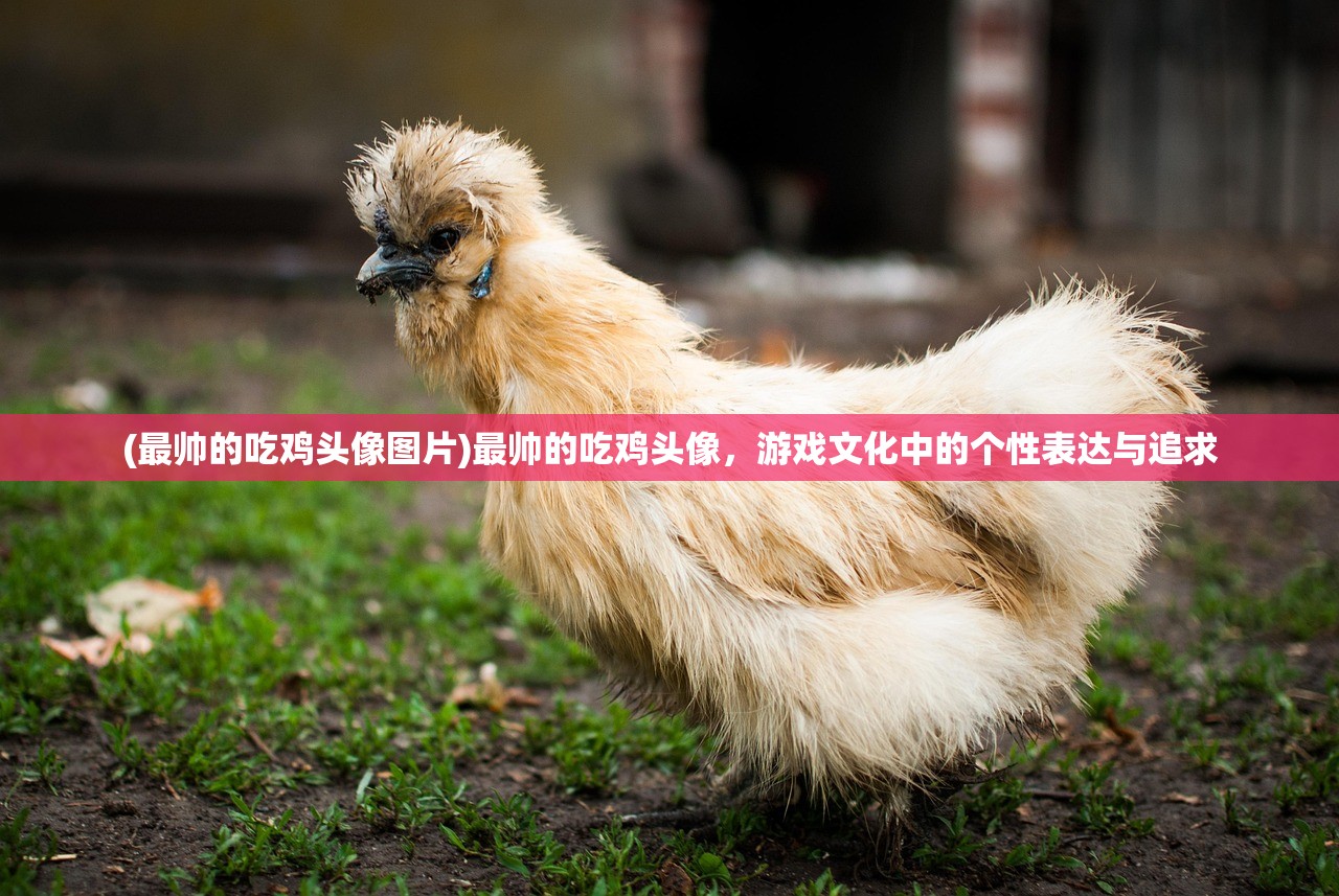 (最帅的吃鸡头像图片)最帅的吃鸡头像，游戏文化中的个性表达与追求