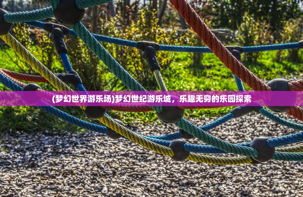 (梦幻世界游乐场)梦幻世纪游乐城，乐趣无穷的乐园探索