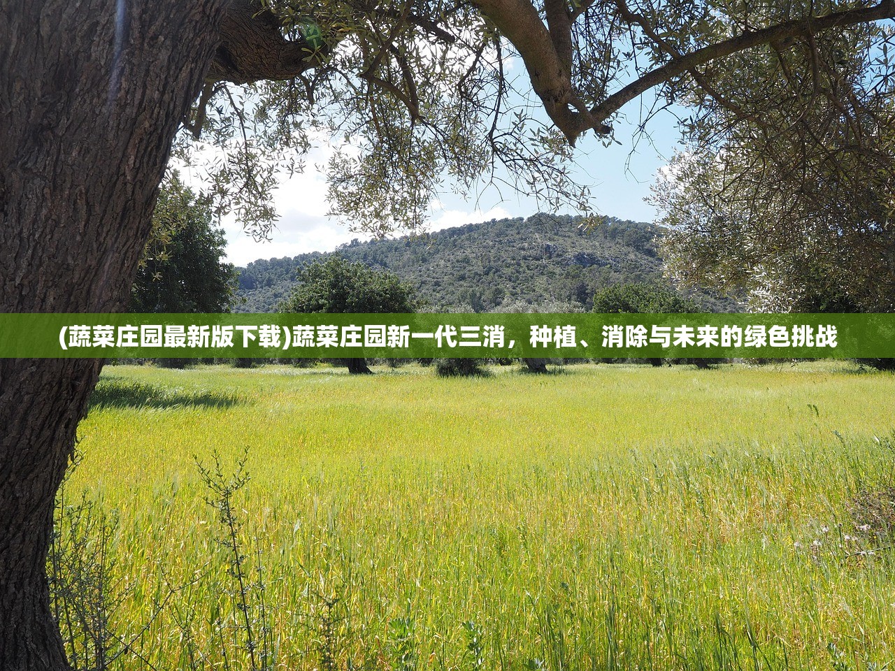 (蔬菜庄园最新版下载)蔬菜庄园新一代三消,种植、消除与未来的绿色挑战 (蔬菜庄园最新版下载)蔬菜庄园新一代三消,种植、消除与未来的绿色挑战