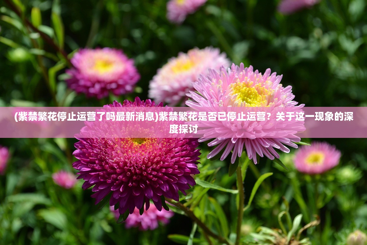 (紫禁繁花停止运营了吗最新消息)紫禁繁花是否已停止运营?关于这一现象的深度探讨 (紫禁繁花停止运营了吗最新消息)紫禁繁花是否已停止运营?关于这一现象的深度探讨
