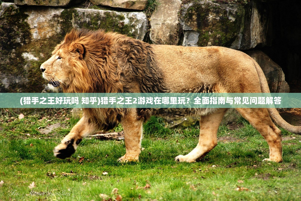 (铁血阵地直播间cdk)铁血阵地直播间，直播新风尚与军事爱好者的聚集地