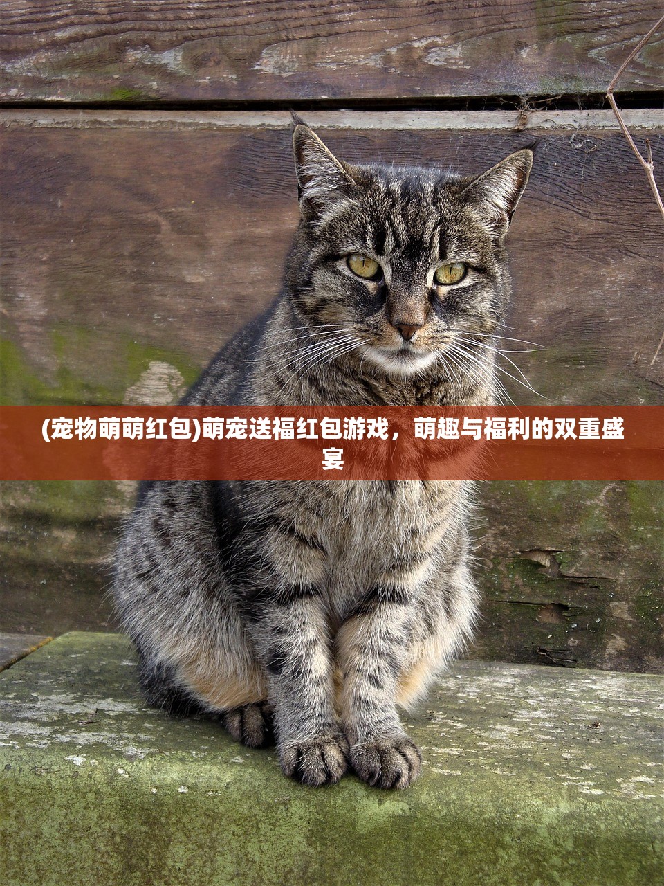 (战斗吧龙魂职业选择)战斗吧龙魂，副职业进修攻略详解