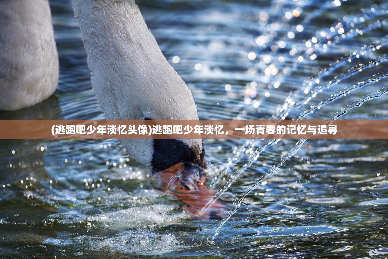 (逃跑吧少年淡忆头像)逃跑吧少年淡忆，一场青春的记忆与追寻