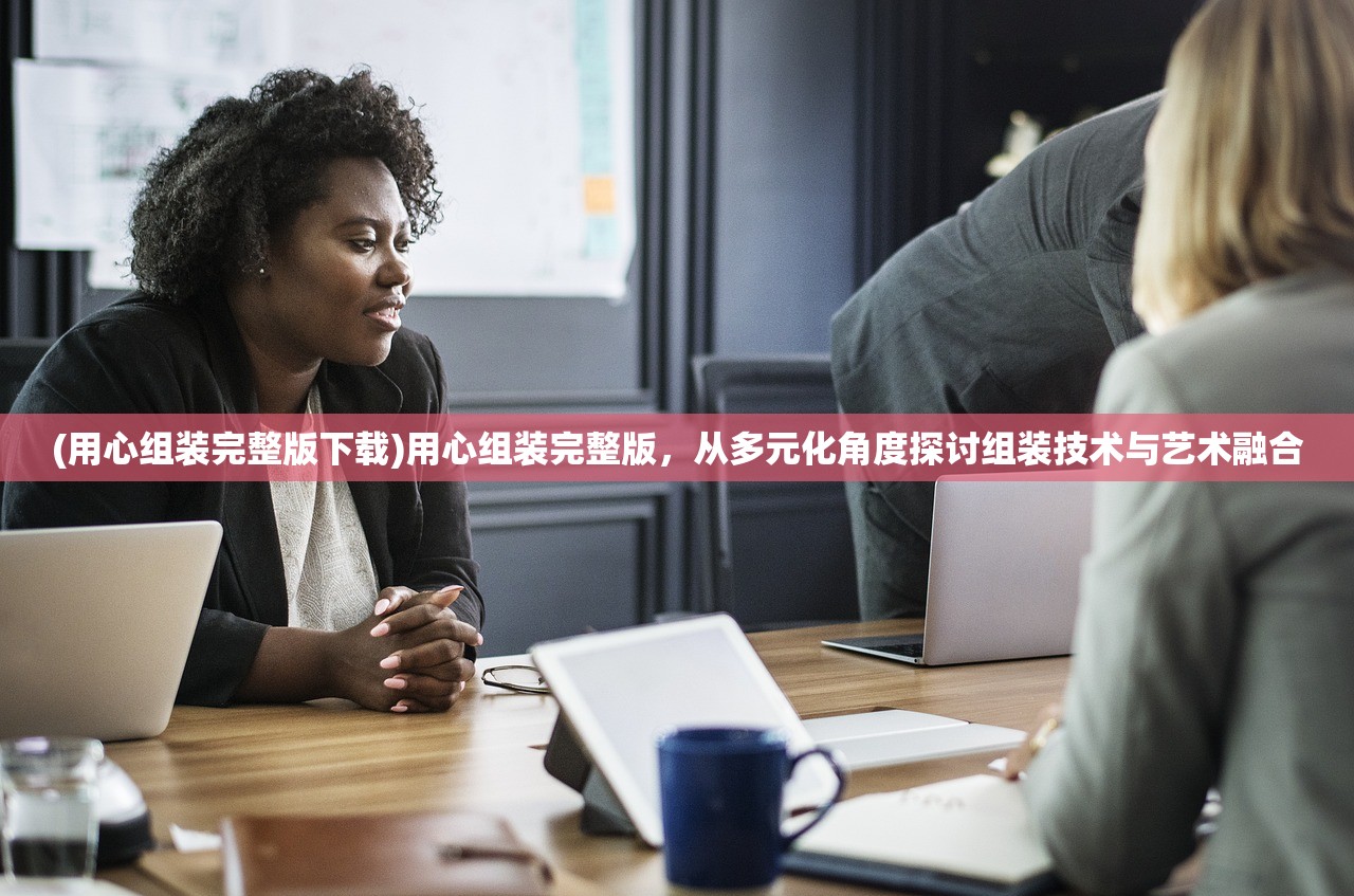 (用心组装完整版下载)用心组装完整版，从多元化角度探讨组装技术与艺术融合